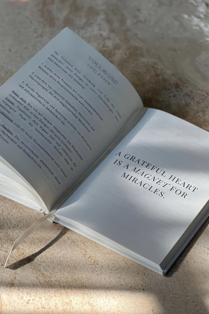Manifestation Journal